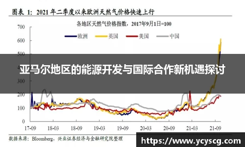 亚马尔地区的能源开发与国际合作新机遇探讨